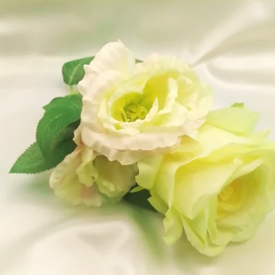 section-1-image